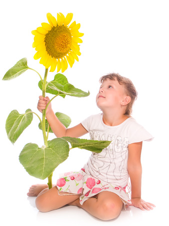 sunflower and childrenの写真素材
