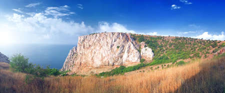 tree and mountainの写真素材
