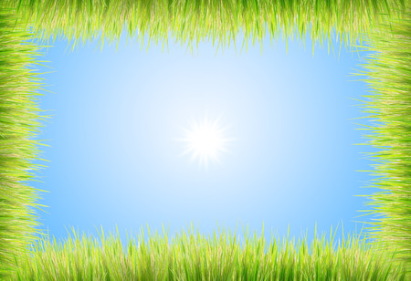green grass on a sky backgroundの写真素材