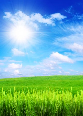 green grass on a blue sky and white clouds backgroundsの写真素材