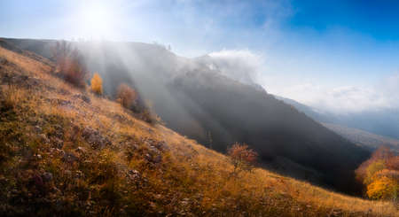 yellow autumn tree with fog mountain and bright sunの写真素材