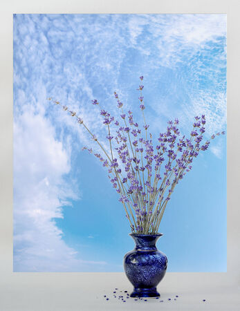 lavender in a vase on a background of a windowの写真素材