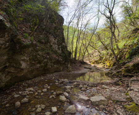 Beautiful spring forest and waterfallの写真素材