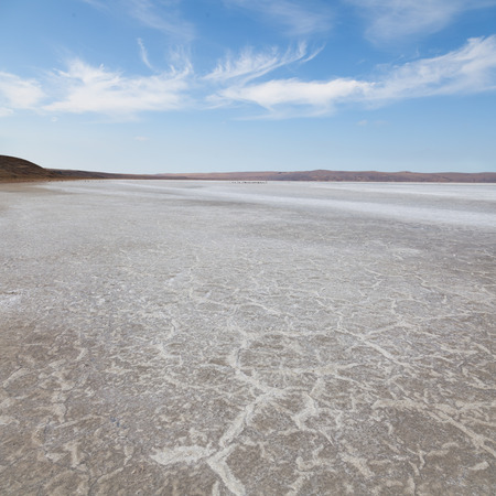 Barren landscape photographed in the afternoonの写真素材