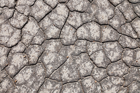 texture of dried earth, photographed during the day in the desert.の写真素材