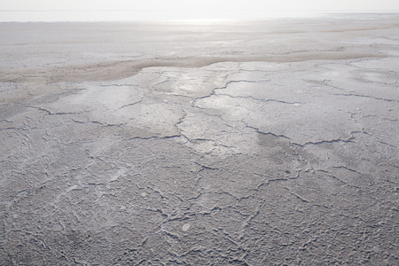 texture of dried earth, photographed during the day in the desert.の写真素材