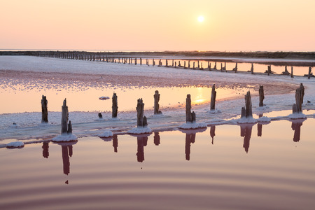 pink salt lake on the sunset background.の写真素材