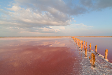 pink salt lake on the sunset background.の写真素材