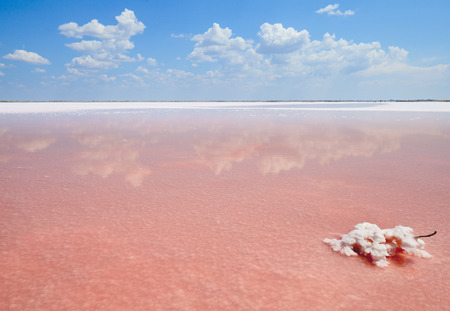 pink salt lake on the background of beautiful cloudsの写真素材
