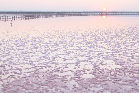 pink salt lake on the sunset background.の写真素材