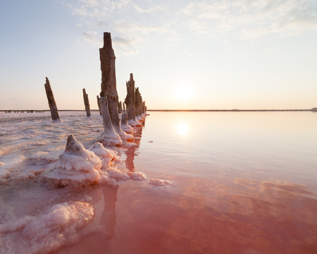 pink salt lake on the sunset background.の写真素材