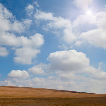 Yellow field with beautiful clouds.の写真素材