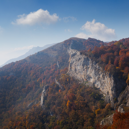 Autumn forest photographed during the day in the mountainsの写真素材
