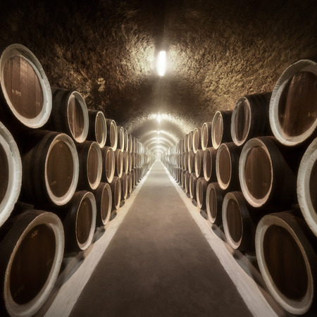 Warehoused barrels in the wine cellarの写真素材