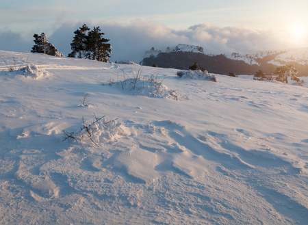 Beautiful winter forest, which I photographed in the mountainsの写真素材
