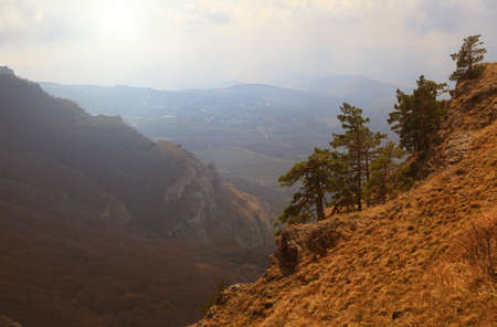 Beautiful autumn forest with mist in the distanceの写真素材