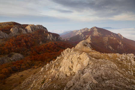 Autumn forest photographed during the day in the mountainsの写真素材