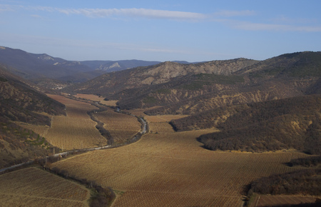 View of the grape fields with heights of the mountainsの写真素材