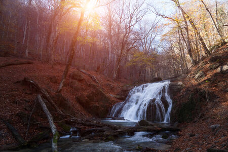 Beautiful fog forest and waterfallの写真素材