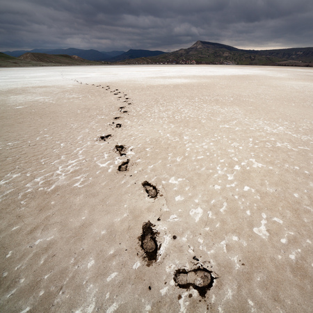 Barren landscape photographed in the afternoonの写真素材