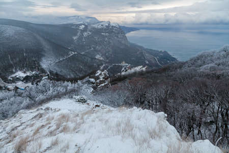 Winter misty landscape with mountains and forest.の写真素材