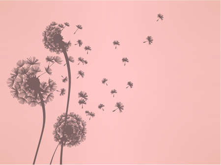 Dandelion のイラスト素材