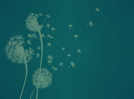 Dandelion Vector File EPS10のイラスト素材