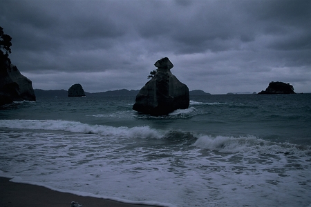 Coromandel - New Zealandの写真素材