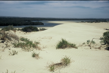 Davenport Creek - Australiaの写真素材