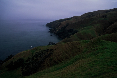 Coromandel - New Zealand