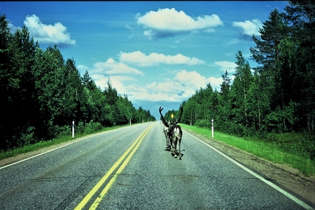 finlandの写真素材