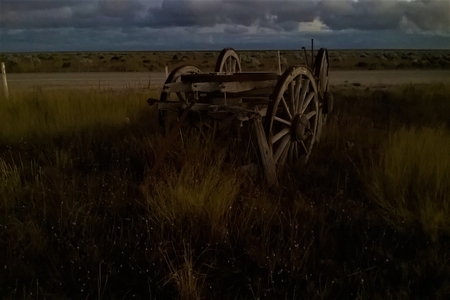 Nullarbor Plain - South Australiaの写真素材