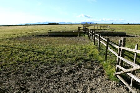 Fenced area for livestock - Maremma Regional Park - Tuscany - Italyの写真素材