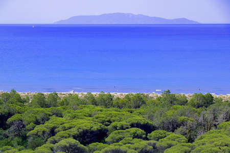 Seaside landscape in a summer vacation - Maremma Regional Park - Tuscany - Italyの写真素材