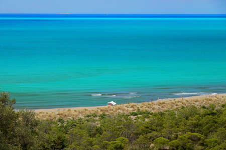 Seaside landscape in a summer vacation - Maremma Regional Park - Tuscany - Italyの写真素材