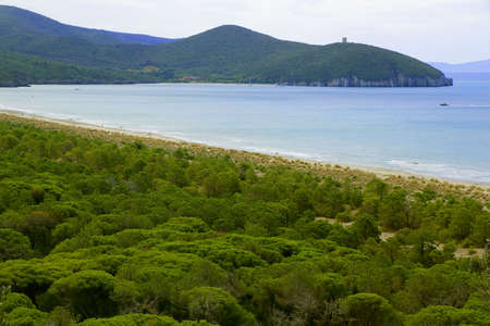 Seaside landscape in a summer vacation - Maremma Regional Park - Tuscany - Italyの写真素材