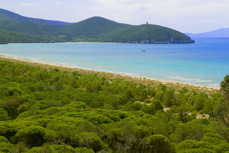 Seaside landscape in a summer vacation - Maremma Regional Park - Tuscany - Italyの写真素材