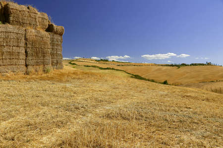 Tuscan countryside after the wheat harvest - Asciano - Tuscany - Italyの写真素材