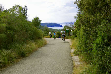 People go cycling into the park to the beach in summer holiday - Maremma Regional Park - Tuscany - Italyの写真素材