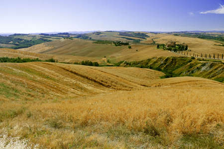 Tuscan countryside after the wheat harvest with a characteristic cypresses line up - Asciano - Tuscany - Italyの写真素材