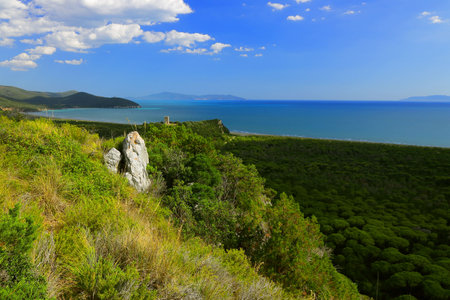 Coastal landscape with an ancient tower on the top of a hill - Maremma Regional Park - Tuscany - Italyの写真素材