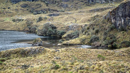 River entering a high altitude lake in El Cajas National Park outside of Cuenca, Ecuador