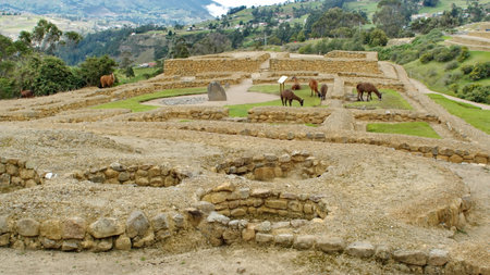 Grain storage silos in the Incan ruins of Ingapirca, outside of Cuenca, Ecuadorの写真素材