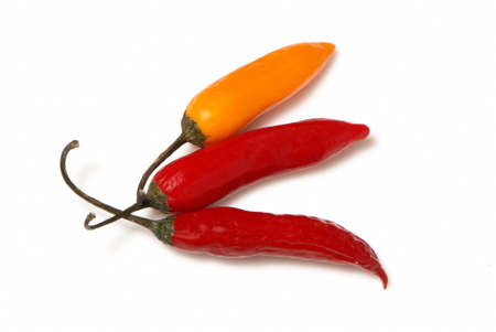hot chilli peppers isolated on white background 