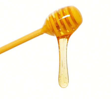 isolation of honey dripperの写真素材