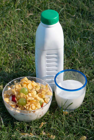 Bottle, glass with milk and a bowl of dietary foodの写真素材