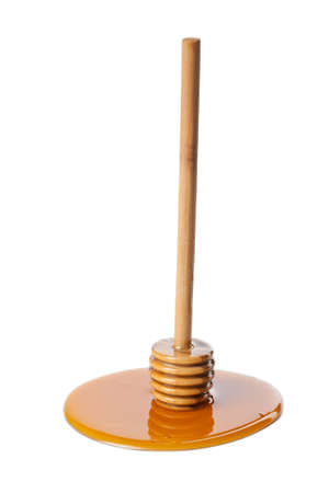 Two young girls with the book outdoors

の写真素材