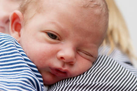 two week baby. Portraitの写真素材