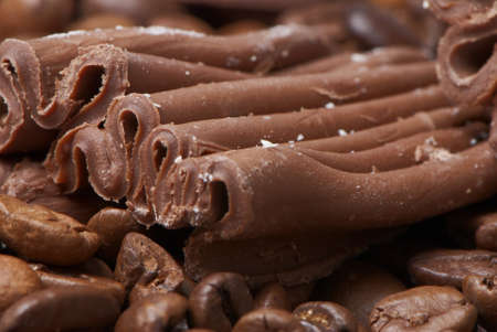 succulent chocolate On coffee grains, close-up macroの写真素材