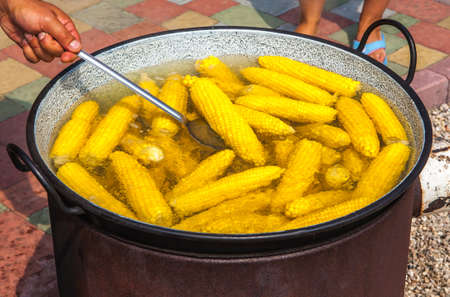 fresh corn in boiling water at marketの写真素材